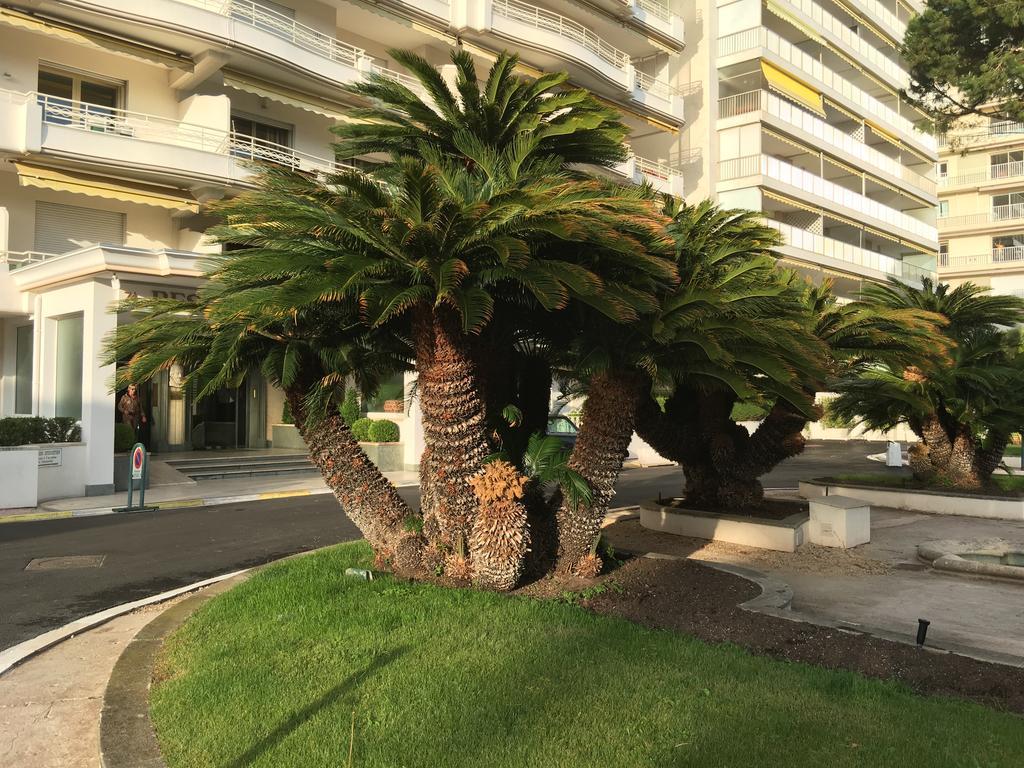 Appartement Cannes Sur Croisette المظهر الخارجي الصورة